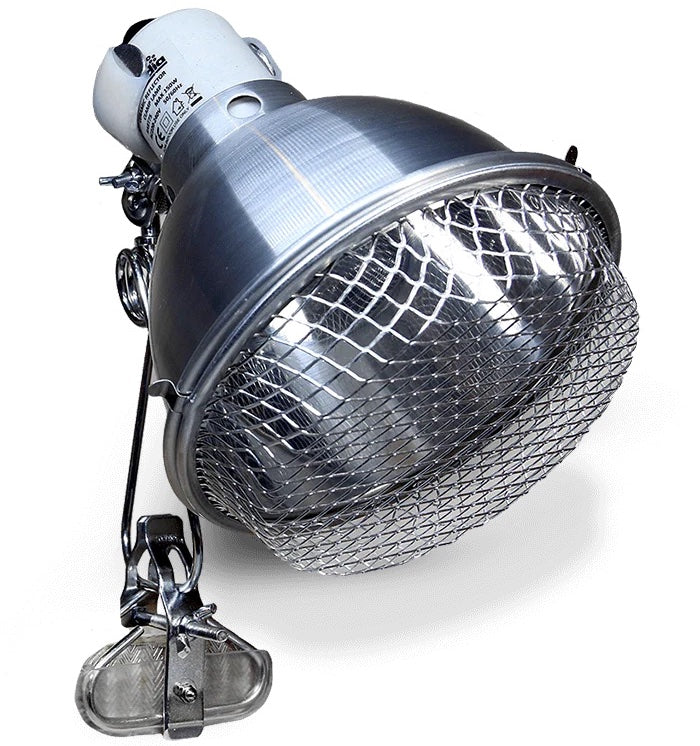 Reflector Clamp Lamp with Ceramic Holder - Stainless Steel - Image 5