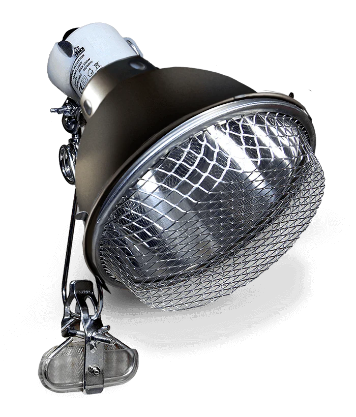 Reflector Clamp Lamp with Ceramic Holder - Graphite - Image 5