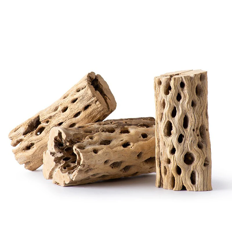 Cholla Wood - Image 3