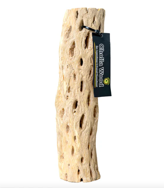 Cholla Wood - Image 4