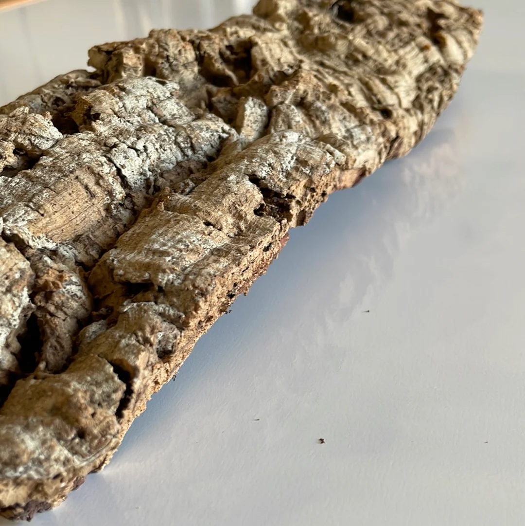 Premium Cork Bark Flats - Image 3