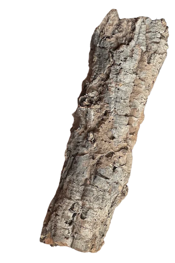 Premium Cork Bark Tubes, Large - Image 5