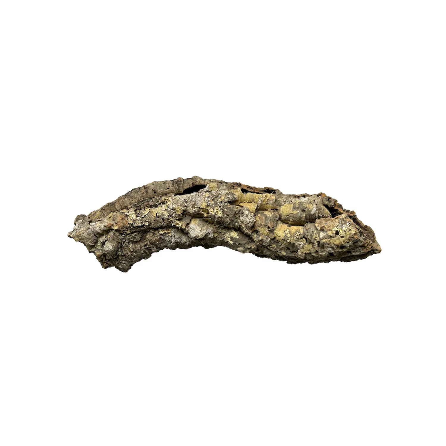 Hideouts, Caves, and Shelters