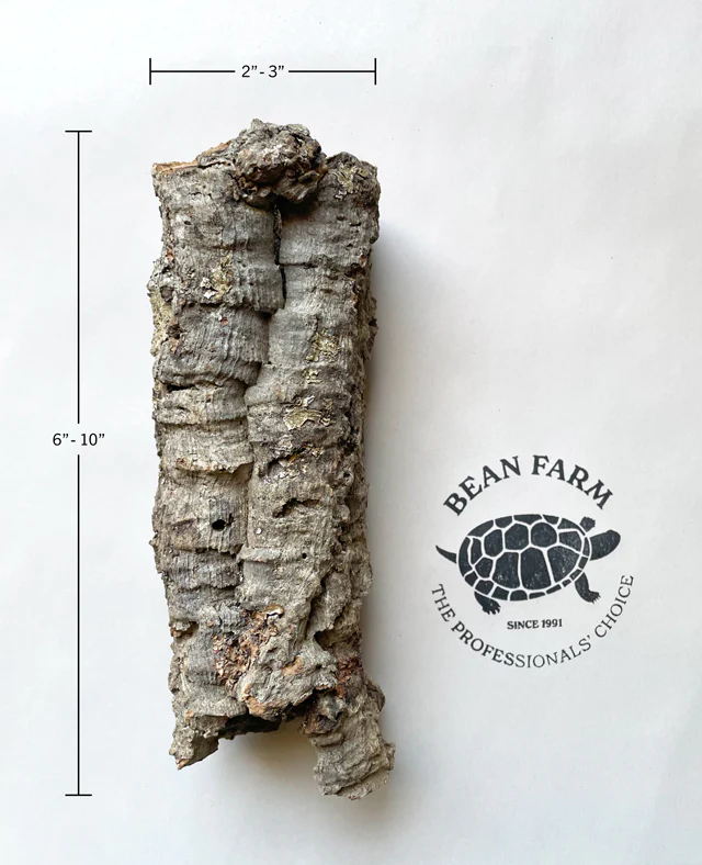 Premium Cork Bark Tubes, Extra Small - Image 3