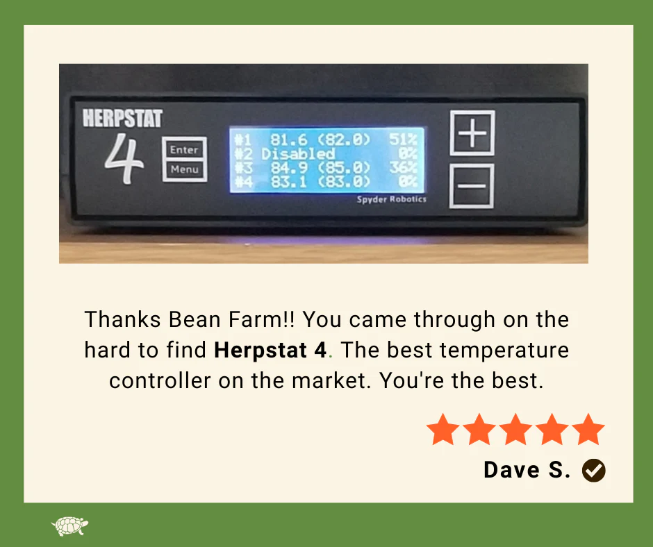 Herpstat 4 - Image 4