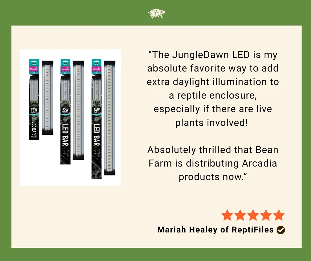 Jungle Dawn LED Bar (12", 15 Watt) - Image 6