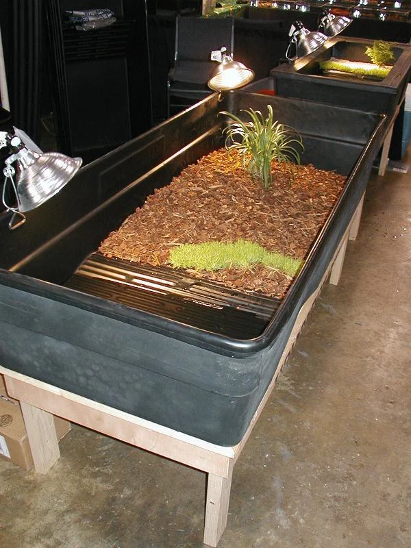 Waterland Tub Medium Land Enclosure - Image 3