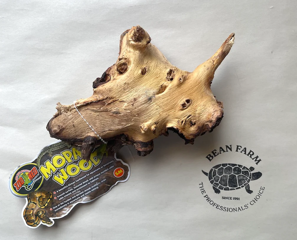 Mopani Wood for Terrarium or Aquarium - Image 3