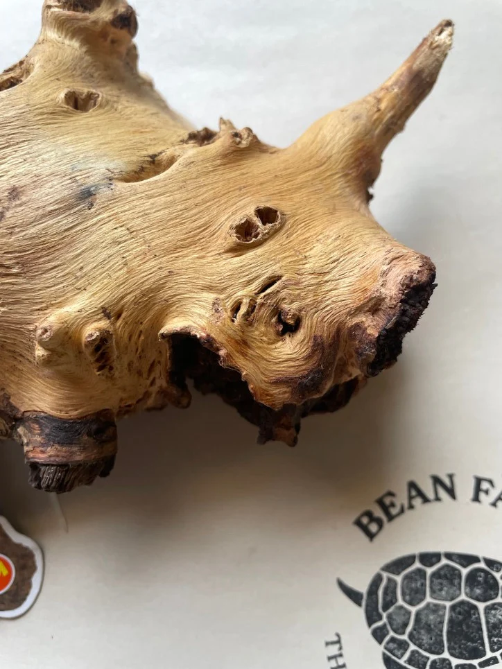Mopani Wood for Terrarium or Aquarium - Image 4