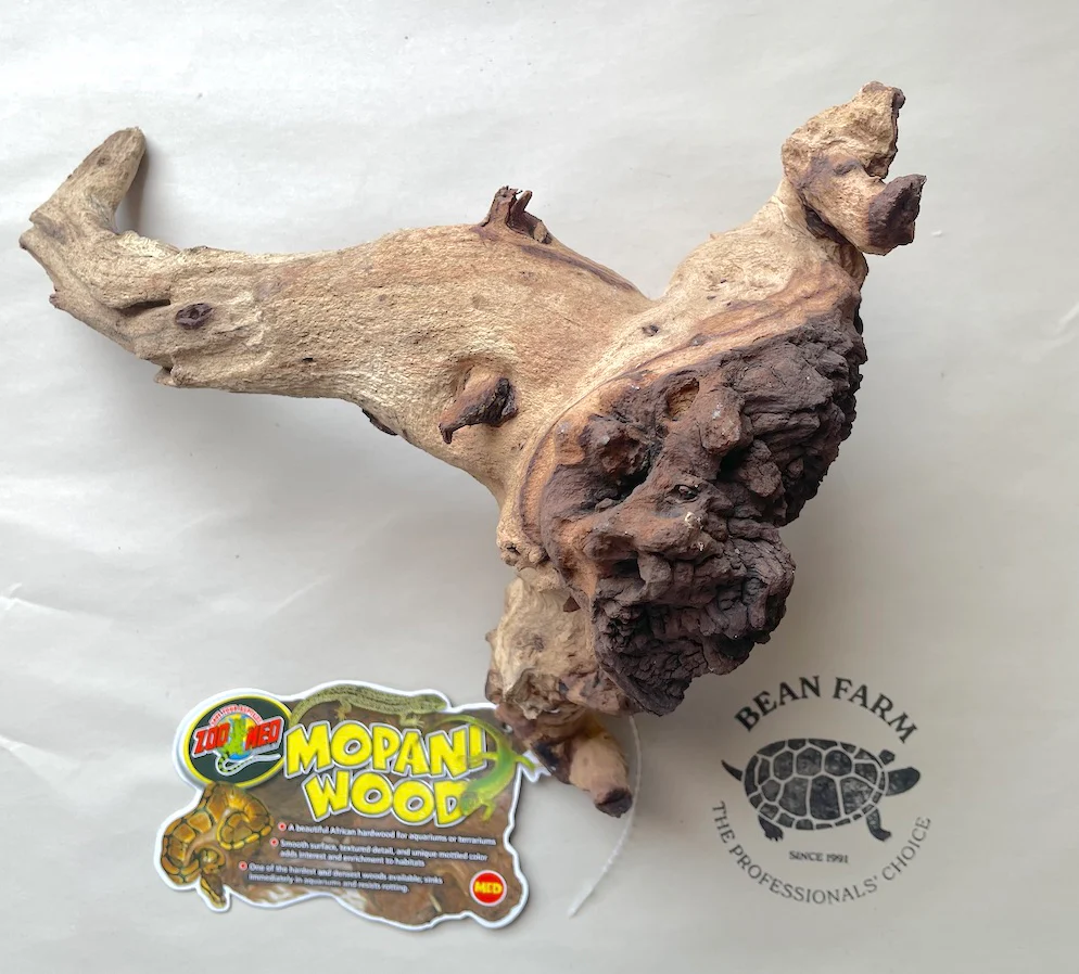 Mopani Wood for Terrarium or Aquarium - Image 5