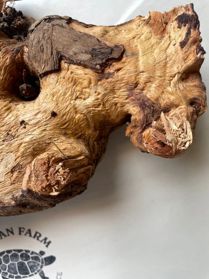 Mopani Wood for Terrarium or Aquarium - Image 7