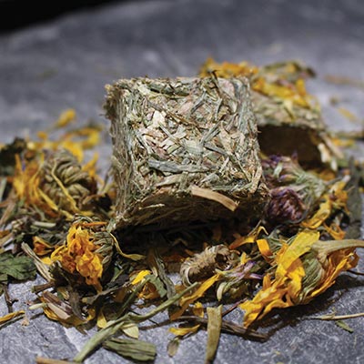 Optimised52 Freshly Pressed Tortoise Food - Image 4