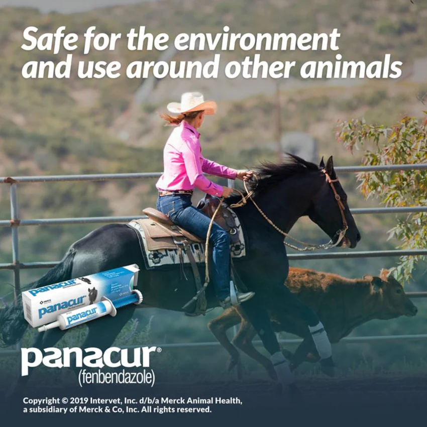 Reptile-Safe Panacur (Fenbendazole) Dewormer Paste, 25 gram 10% - Image 4