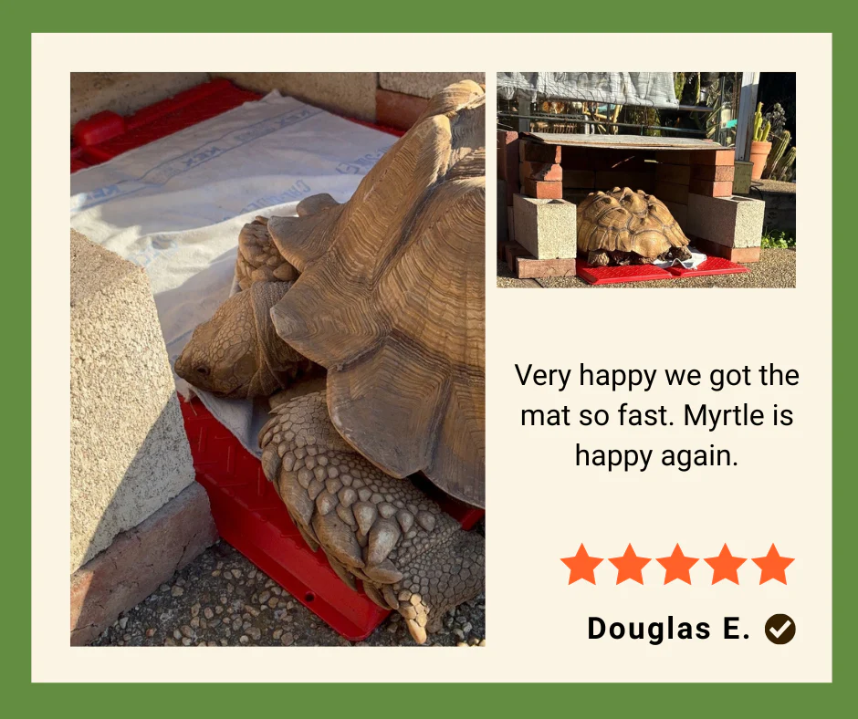 Heat Mats for Tortoise and Reptile - Red - Image 2