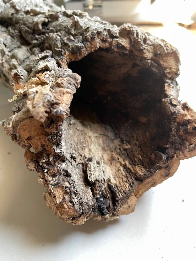 Premium Cork Bark Tubes, Large - Image 6