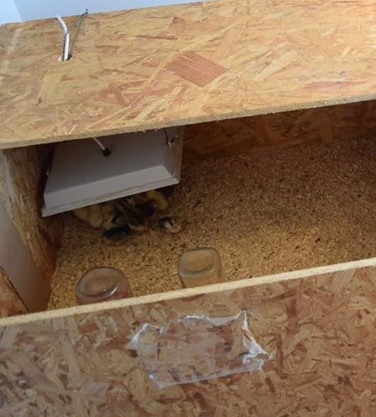 Radiant Heat Panel, Overhead Mount 11"x11" - Image 7